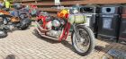 Glendogs Custom build